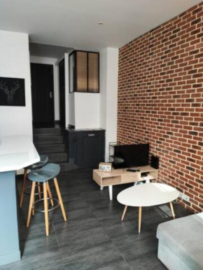 Le havre: superbe appartement centre ville